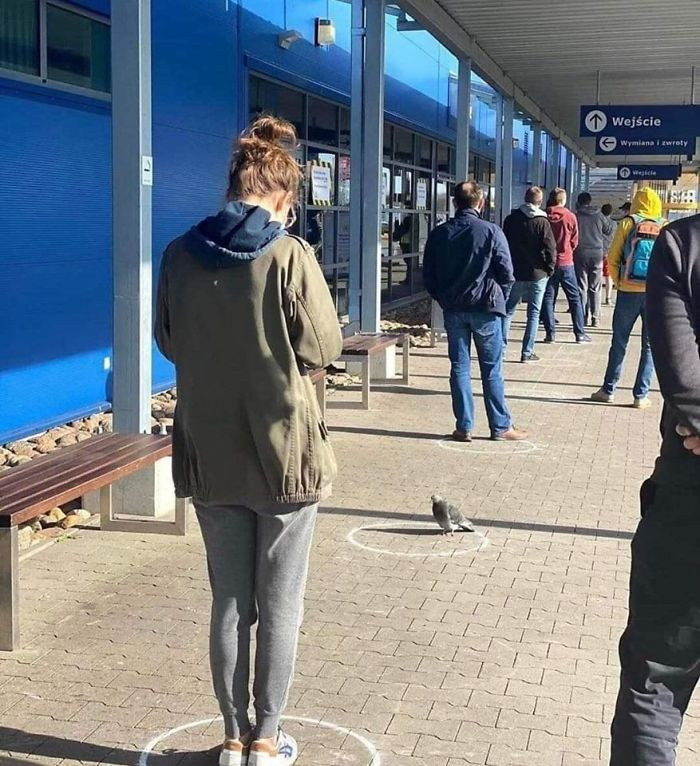 Ndërkohë në Poloni....