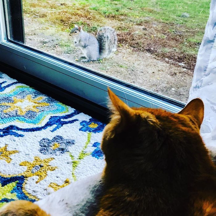 Shihemi mbas karantine....