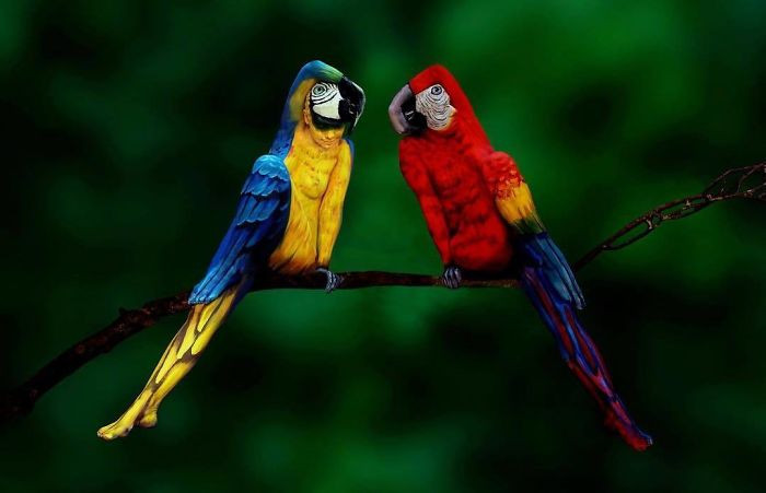 Këtu janë disa nga veprat më të bukura të pikturës së trupit nga Johannes Stötter