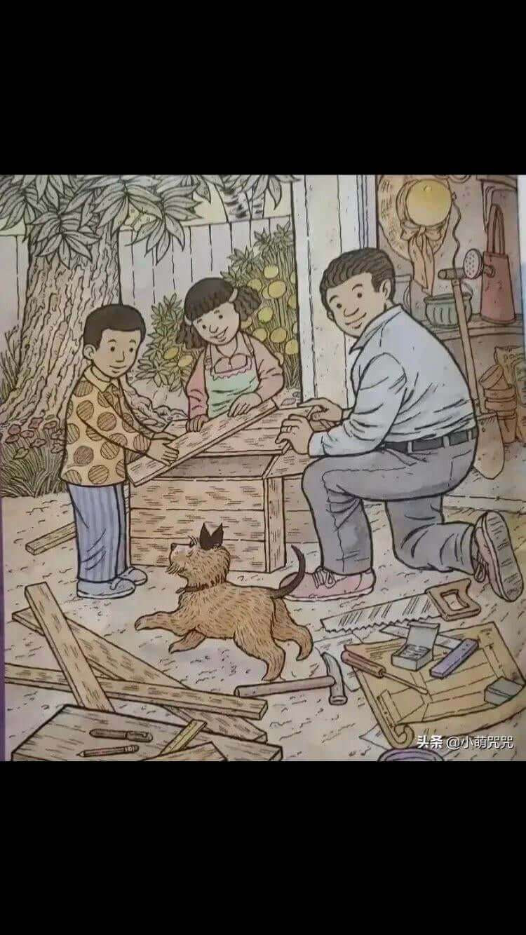 Gjeni ku ndodhet Flutura Rosa dhe Lakuriqi i Natës.