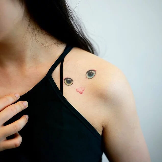 1. Fytyra e një mace