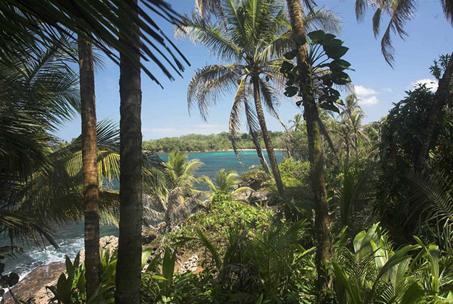 5. Wild Cane Key, Panama: $360,000