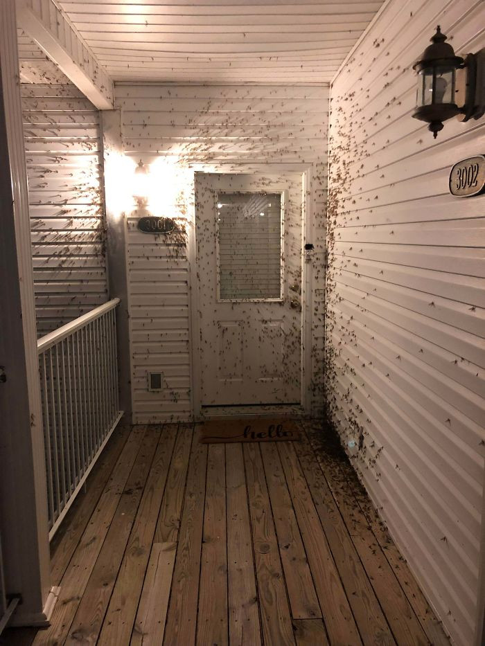 19. Dera që duhej të kaloja mbrëmë për tu futur në dhomën time