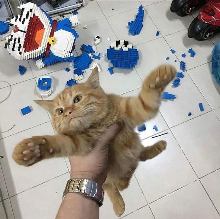 Nuk ka bërë asgjë të keqe.... asgjë