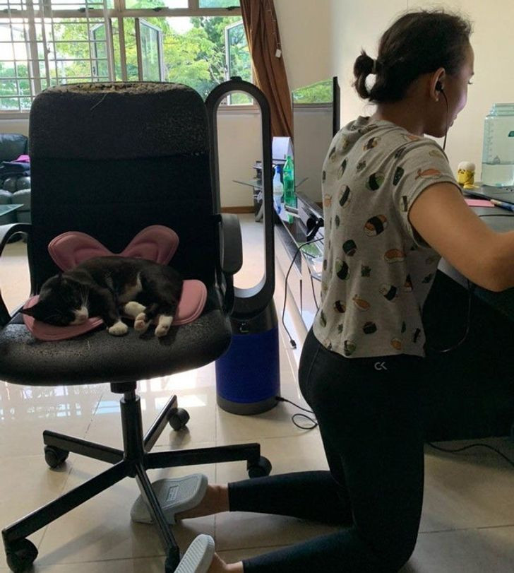 Karrigia është e imja! Pikë!!!