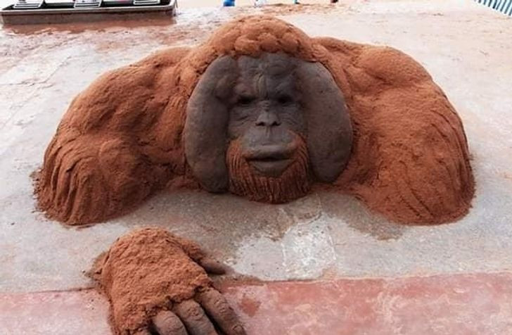 Rëra ka qenë mësuesi i tij.