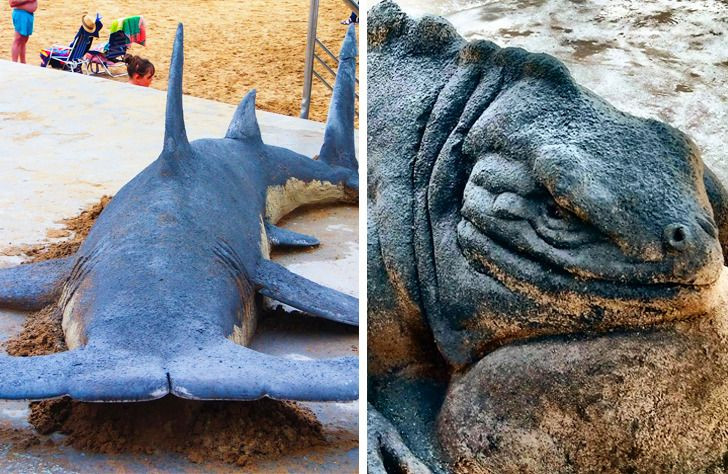 Ku do ta shpjenë aventurat e tij?