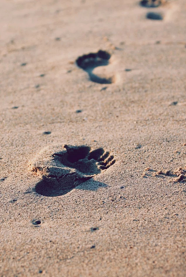 "Që prej vitit 2007, të paktën 20 gjurmë këmbësh  të ndryshme dhe teke  janë gjetur në brigjet e Detit Salish."