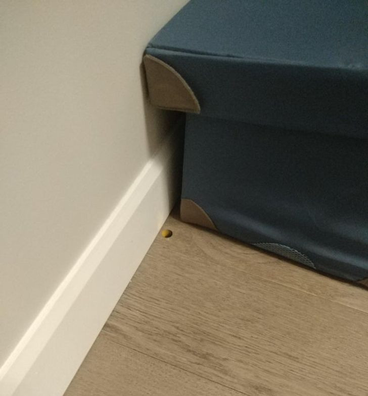 6. "Kjo copë rrethore konfeti që duket si një vrimë në drurë"