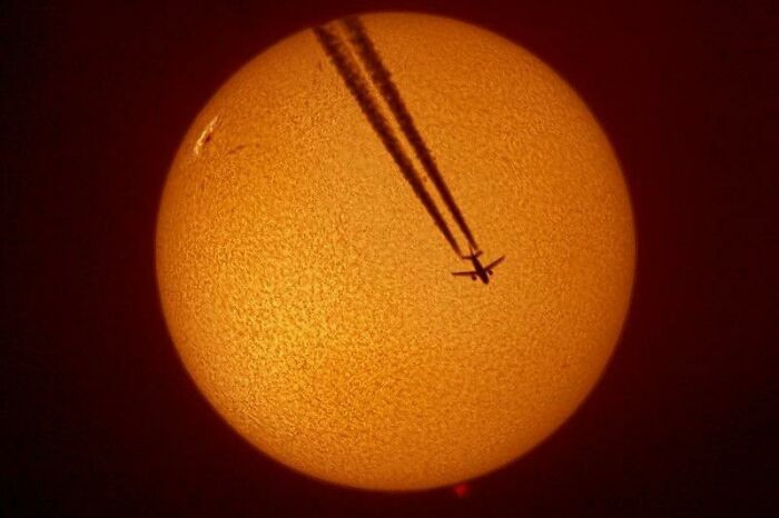 16. Pamje mikroskopike e piskatoreve që marrin një organizëm