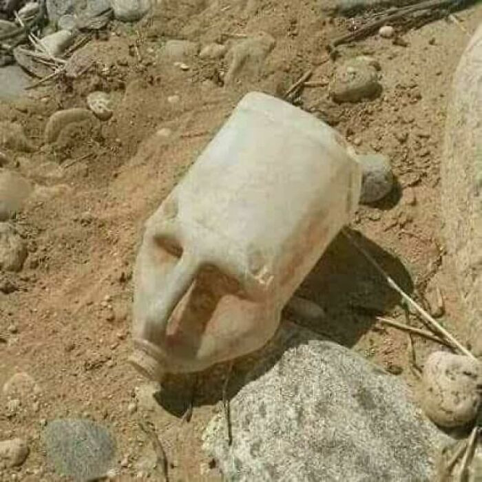 18. Koka e Faraonit të Madh Kleopatra