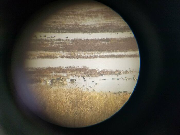 5. Vista e Jupiterit