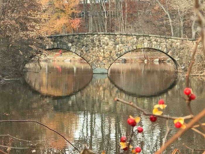 9.  Syzet e mia të reja