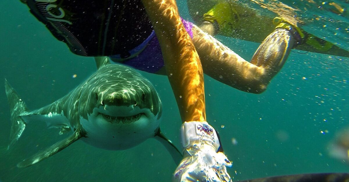 Mos notoni shpejt por shumë ngadalë