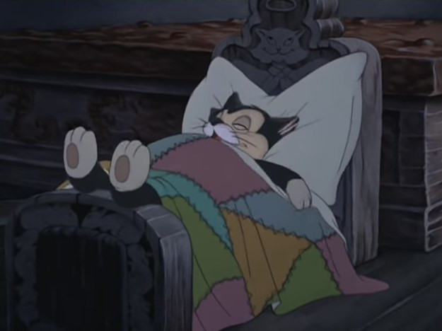 Si e ka emrin kjo macja?