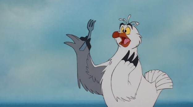 Po emri i kësaj pulbardhe?