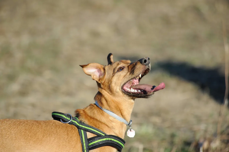 4. Qentë: 25,000 njerëz në vit