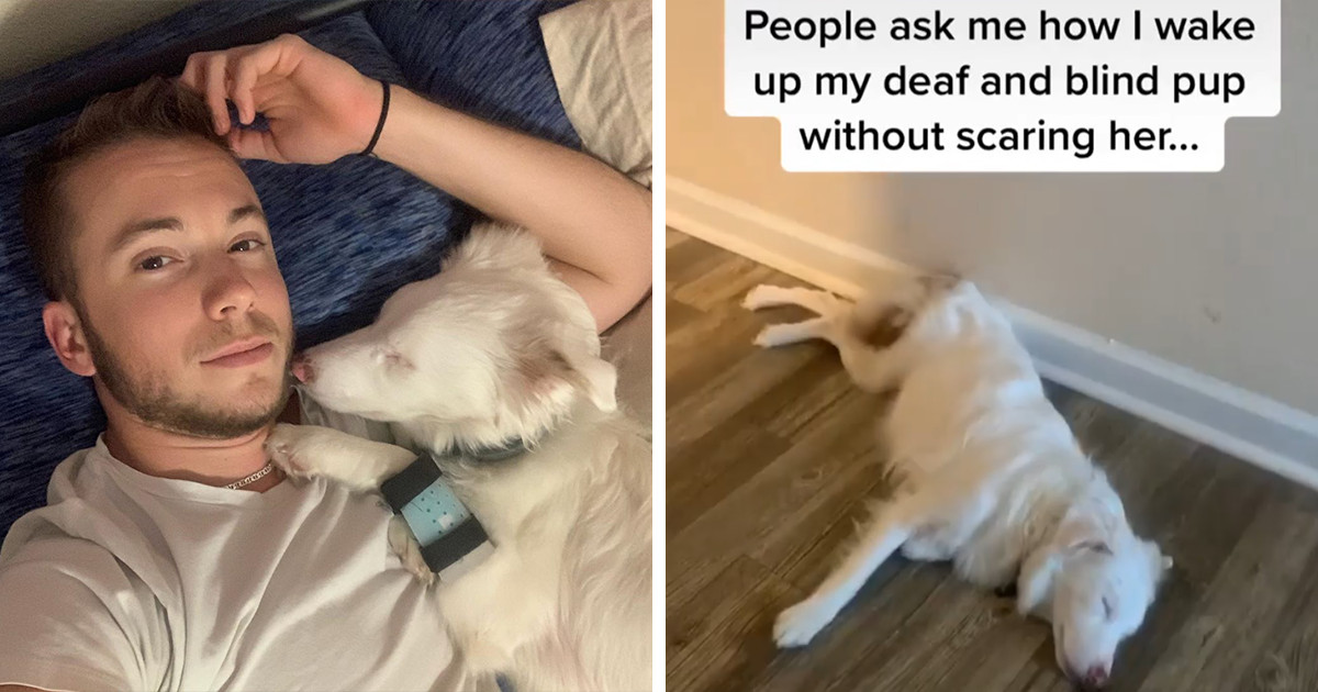 Videoja e  adhurueshme që shkriu aq shumë zemra dhe mori gati 54 milion shikime