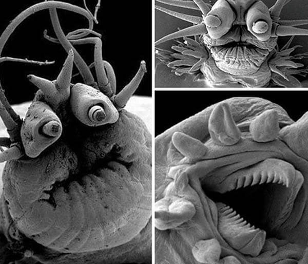 22 fotografitë ku natyra tregonë egërsinë e saj (KUJDES: Kjo listë mund të jetë tepër e frikshme për ju)